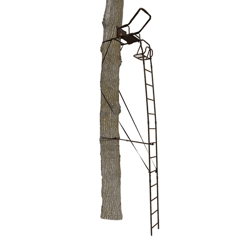 Ladder Tree Stand W9565