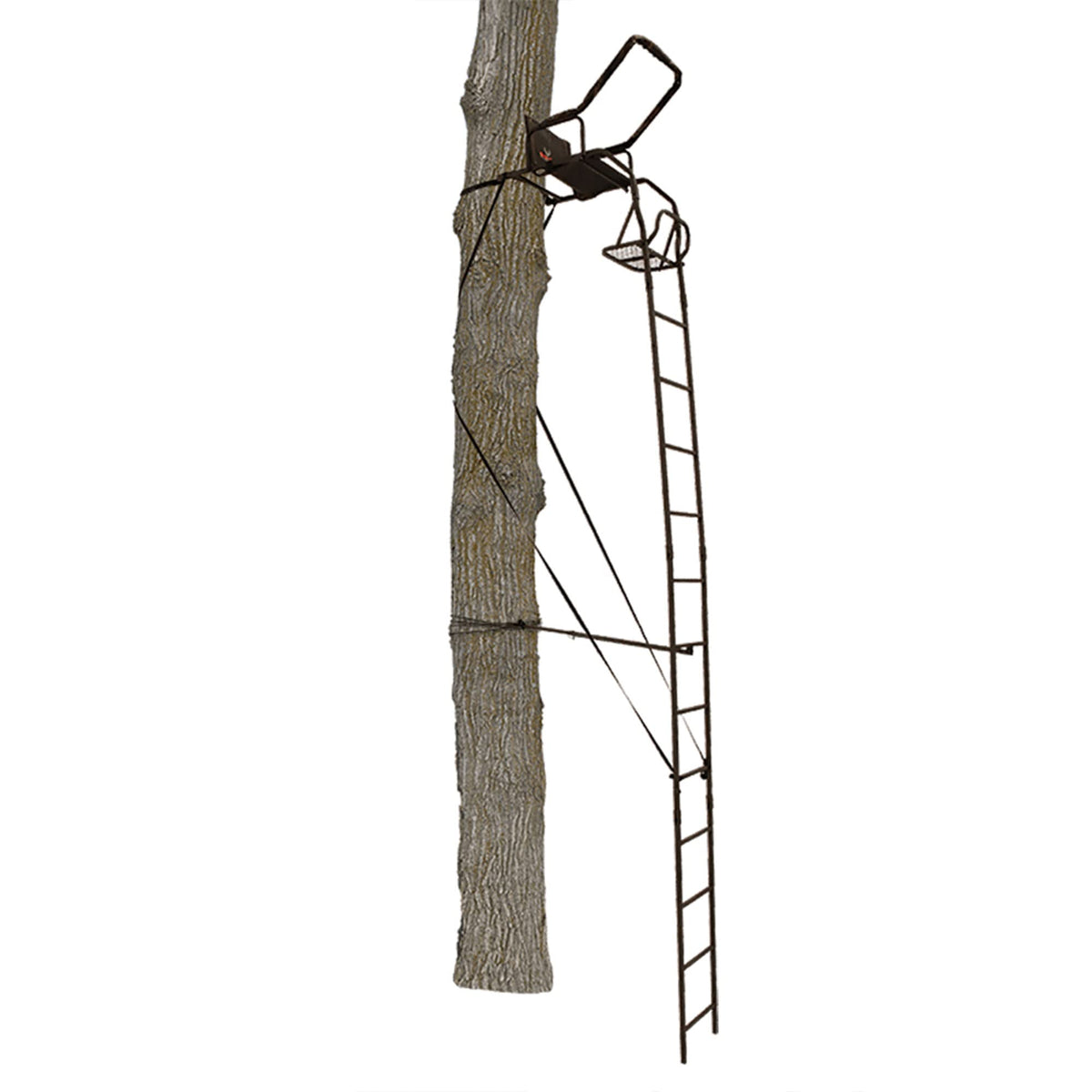 Ladder Tree Stand W9565