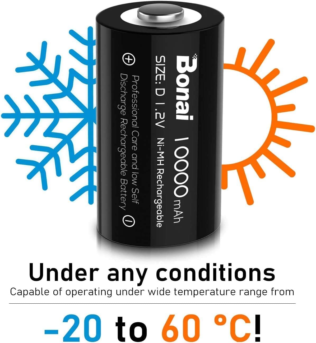 Rechargeable D Batteries 4 Pack C1147