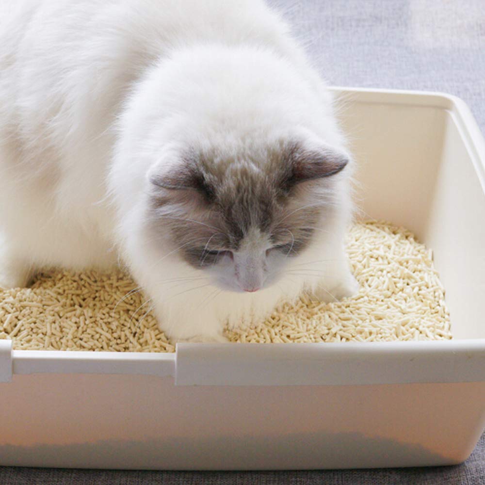 Natural Soy Tofu Cat Litter, Clumping, Flushable, Unscented, 2 Pack W125