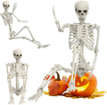 5.4 ft Full Body Plastic Skeleton Prop Z15489