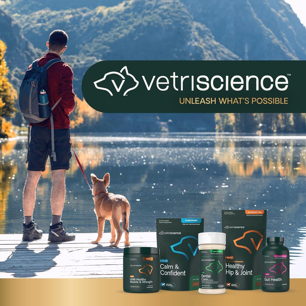 Chicken Dental Care Chews for Cats, 60 Count N304621