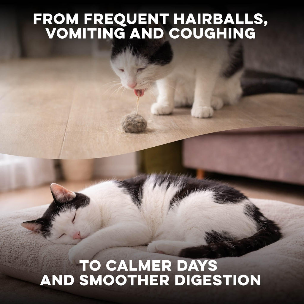 Hairball Treatment for Cats Z552023