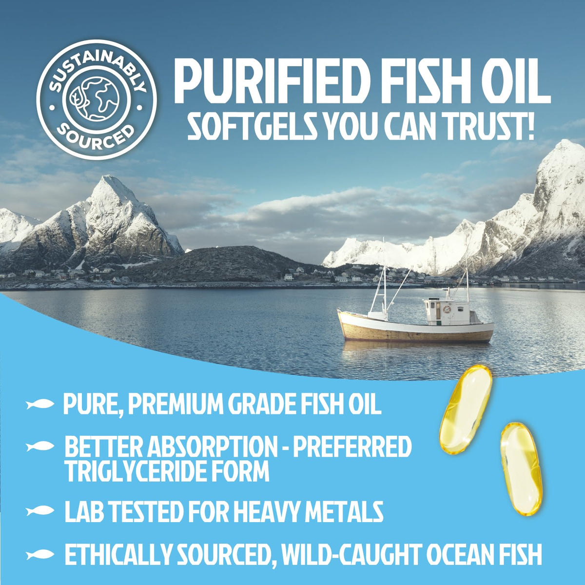 Omega 3 Fish Oil 2400mg Softgels D522
