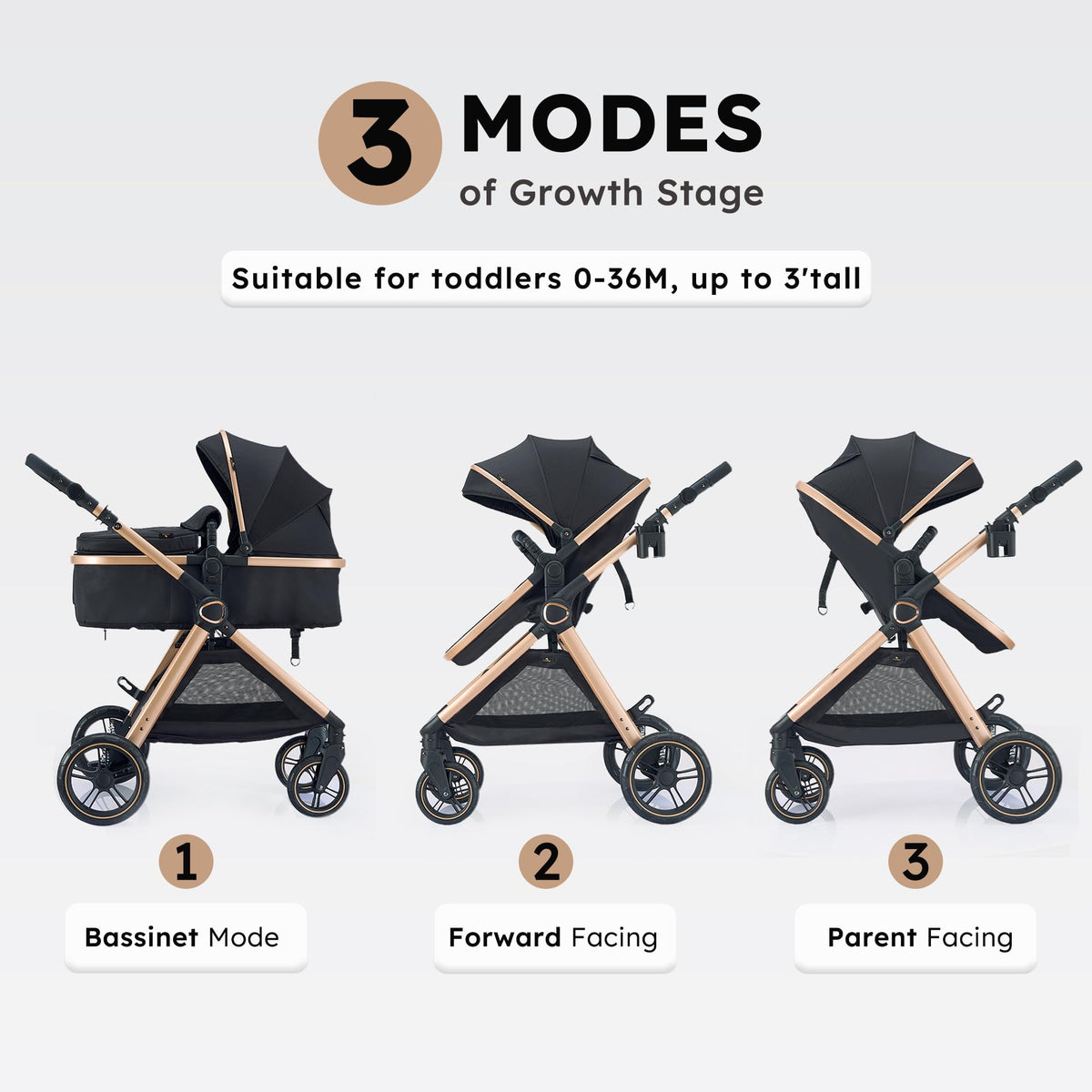 2-in-1 Convertible Baby Stroller T3210