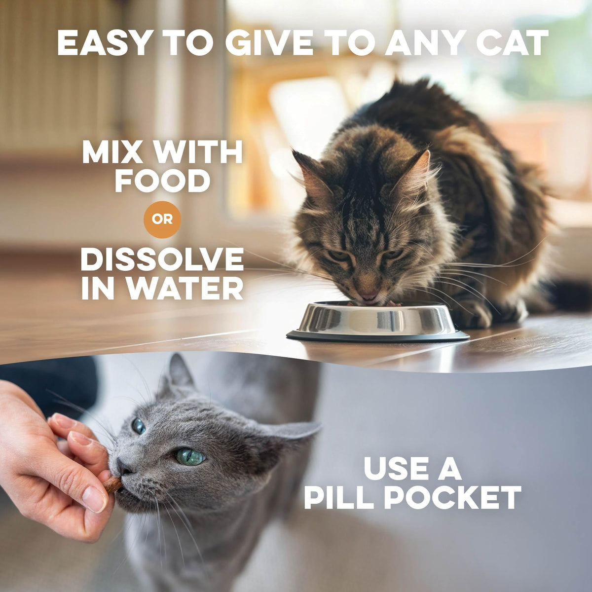 Hairball Treatment for Cats Z552023