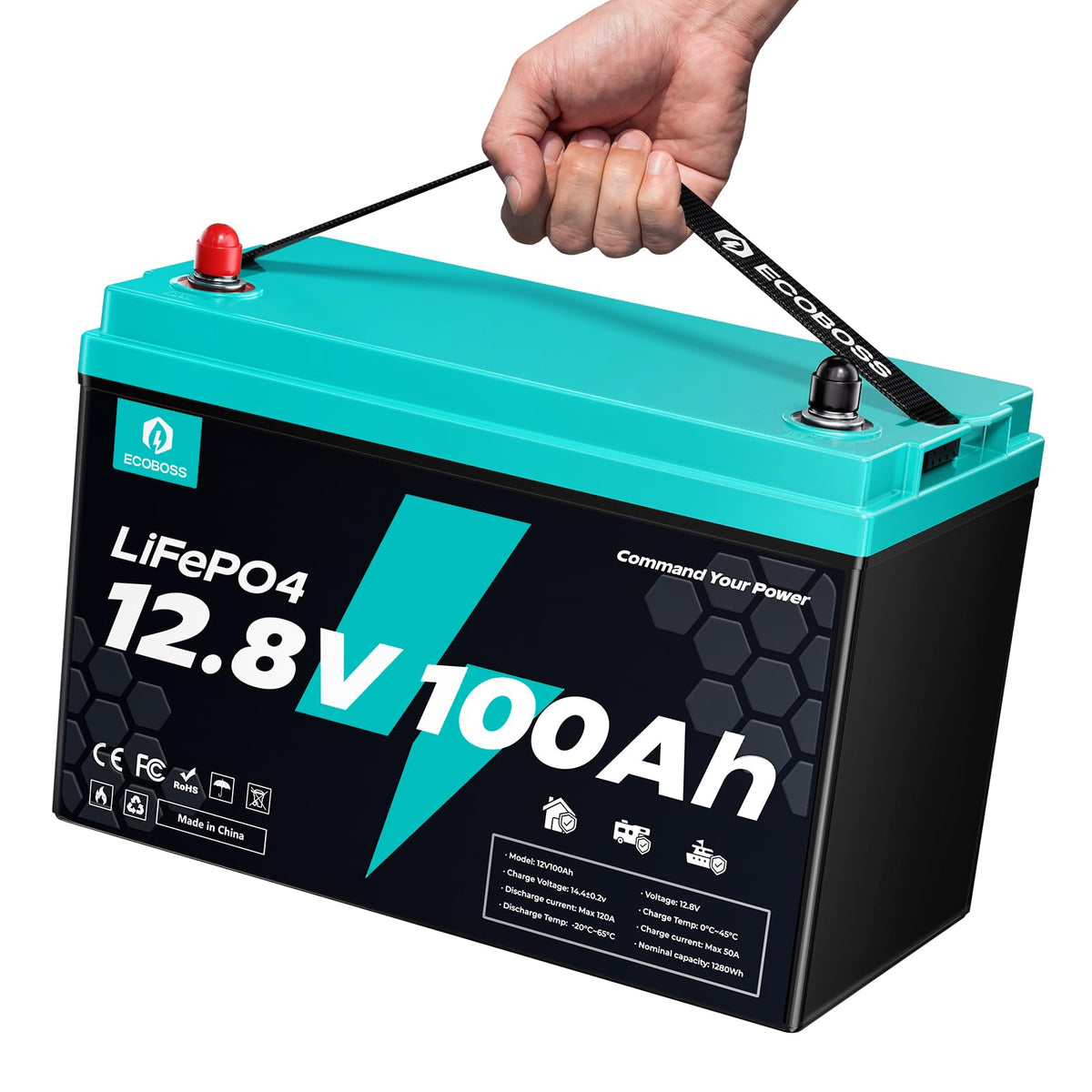 12V 100Ah LiFePO4 Battery Group 31 O5245