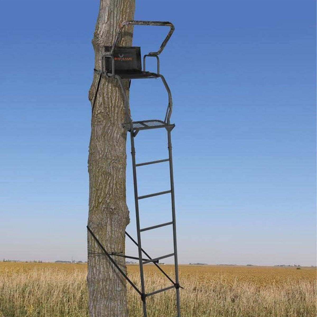 Ladder Tree Stand W9565