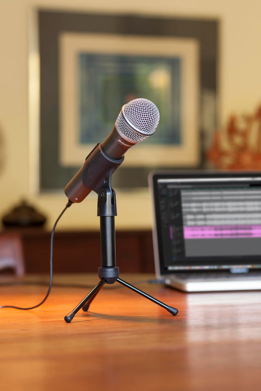 USB/XLR Dynamic Microphone Pack W832