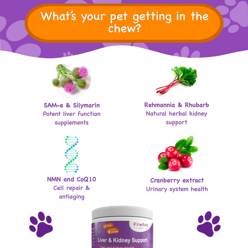 Liver & Kidney Vitamins Supplements for Dogs P169