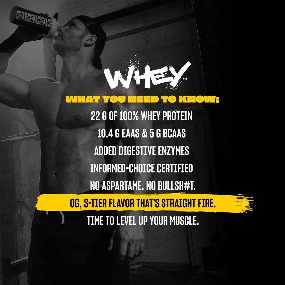 Whey Protein Powder Triple Chocolate 5 lb E885297