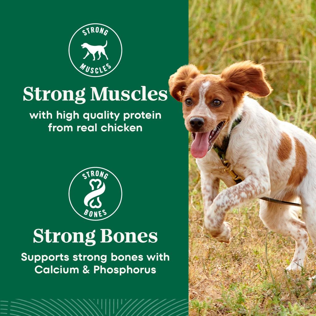 Chicken & Rice Small Breed Dry Dog Food 5 lb M368606