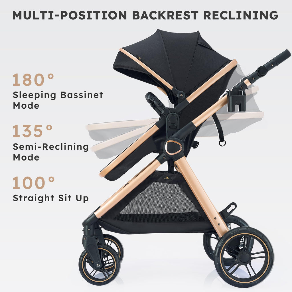 2-in-1 Convertible Baby Stroller T3210