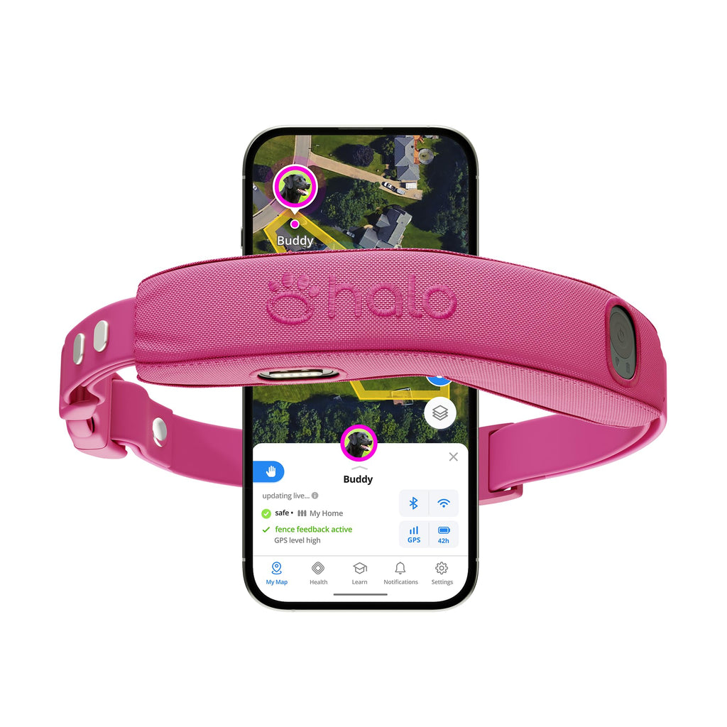 Wireless Dog Fence S68234