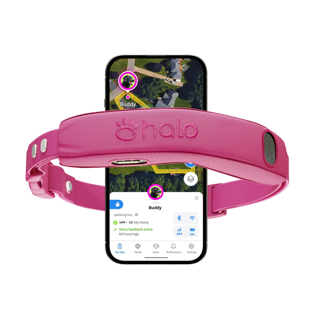 Wireless Dog Fence S68234