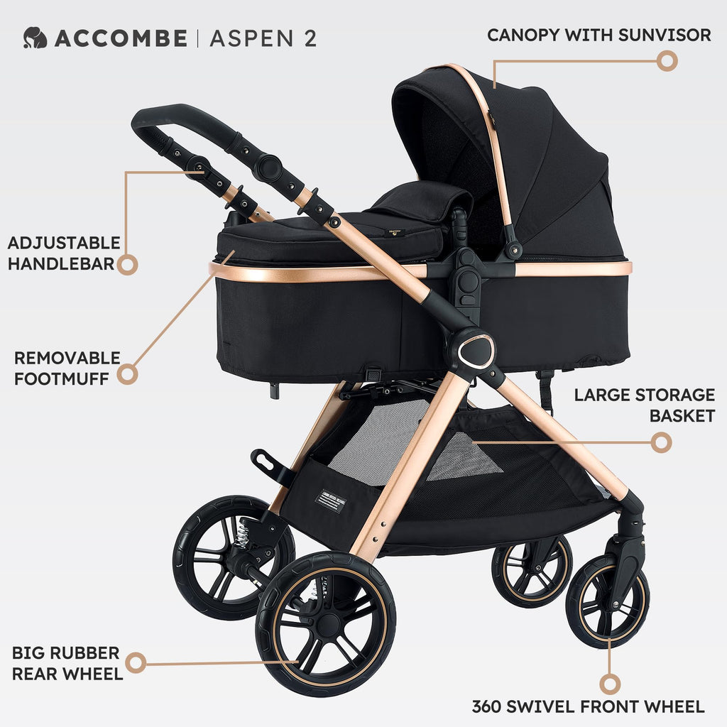 2-in-1 Convertible Baby Stroller T3210