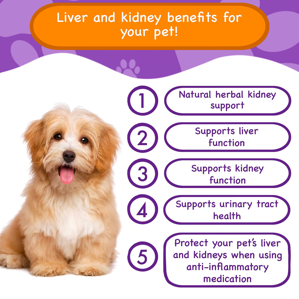 Liver & Kidney Vitamins Supplements for Dogs P169