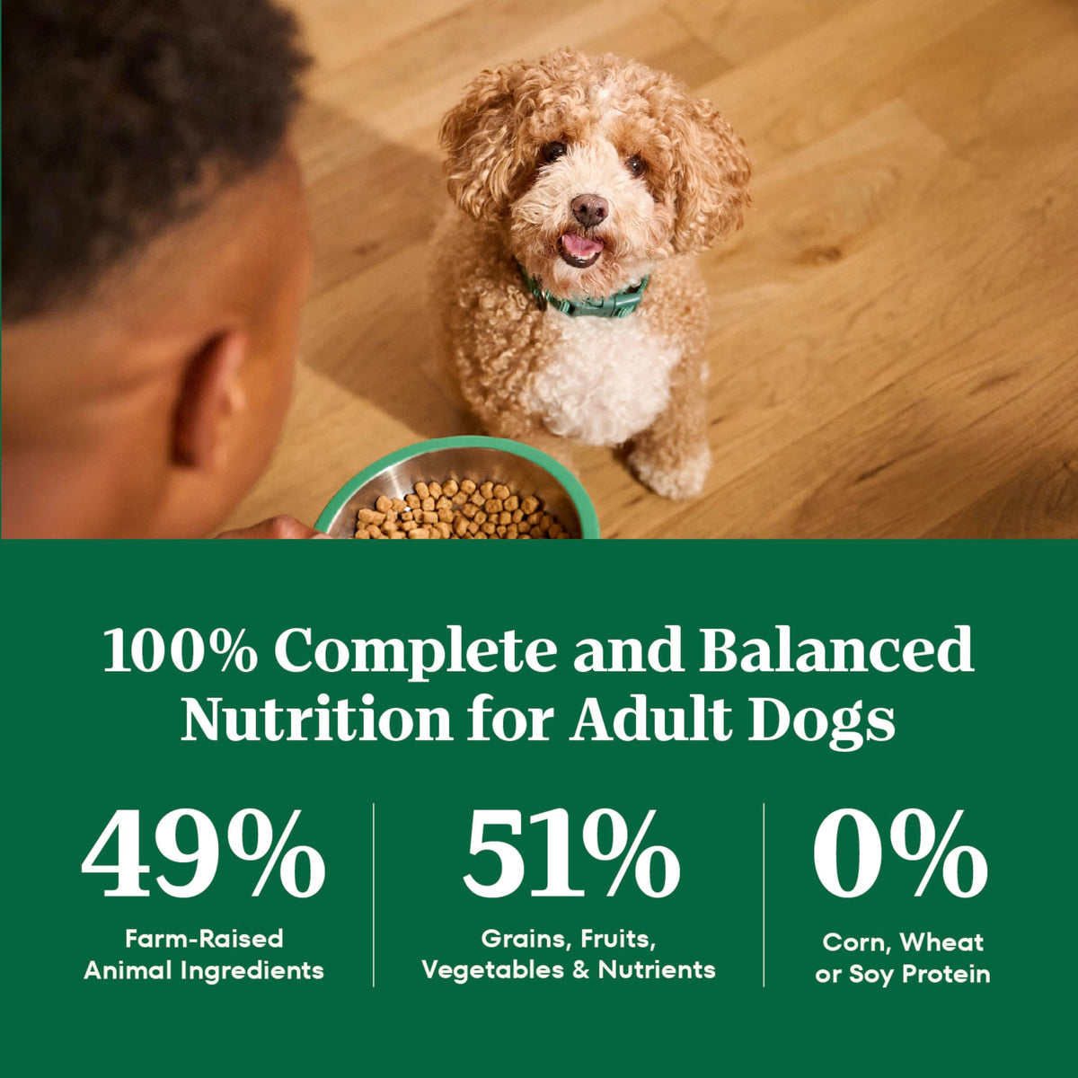 Chicken & Rice Small Breed Dry Dog Food 5 lb M368606