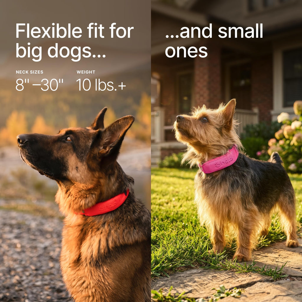 Wireless Dog Fence S68234