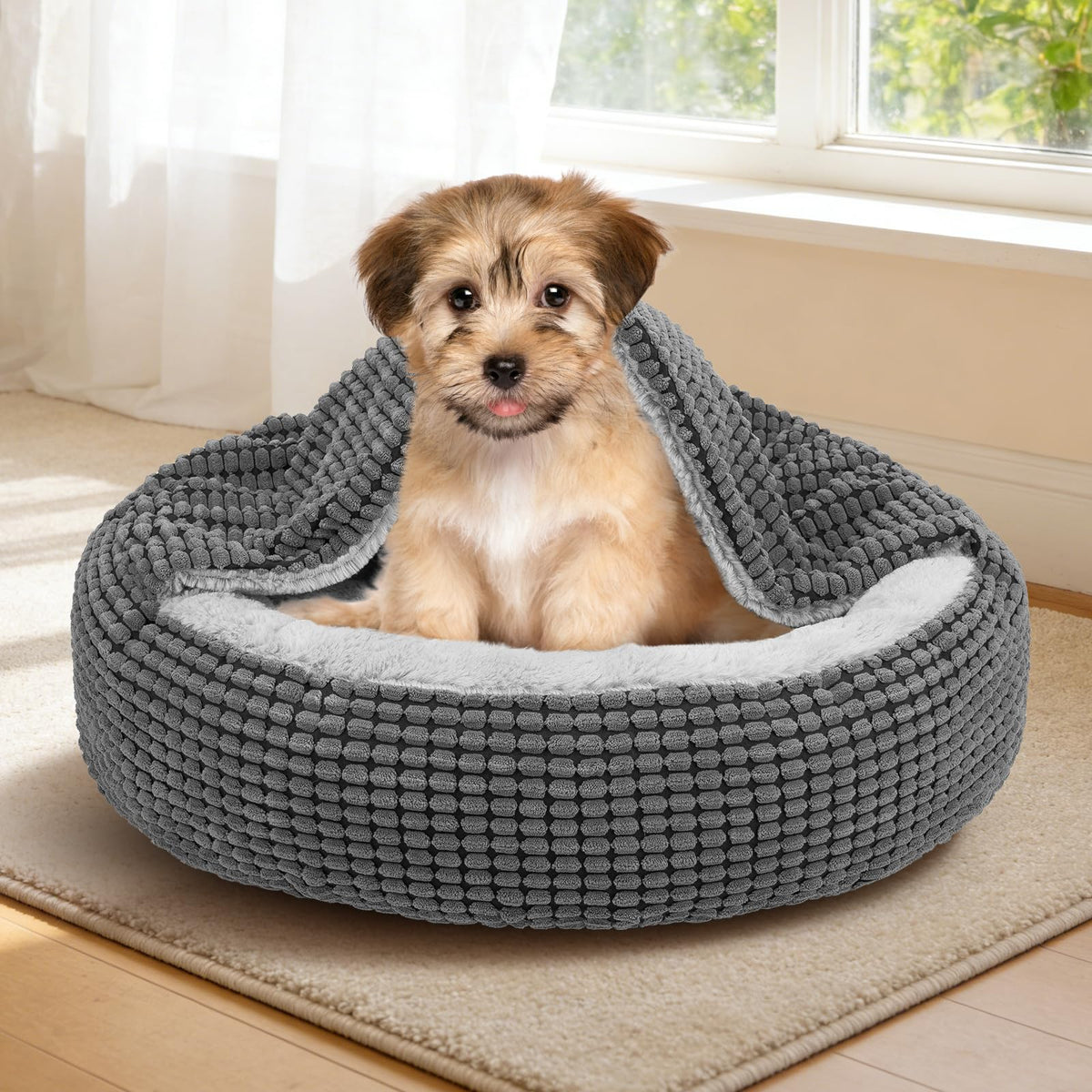 Small Dog Bed with Attached Blanket, 23inch S834613