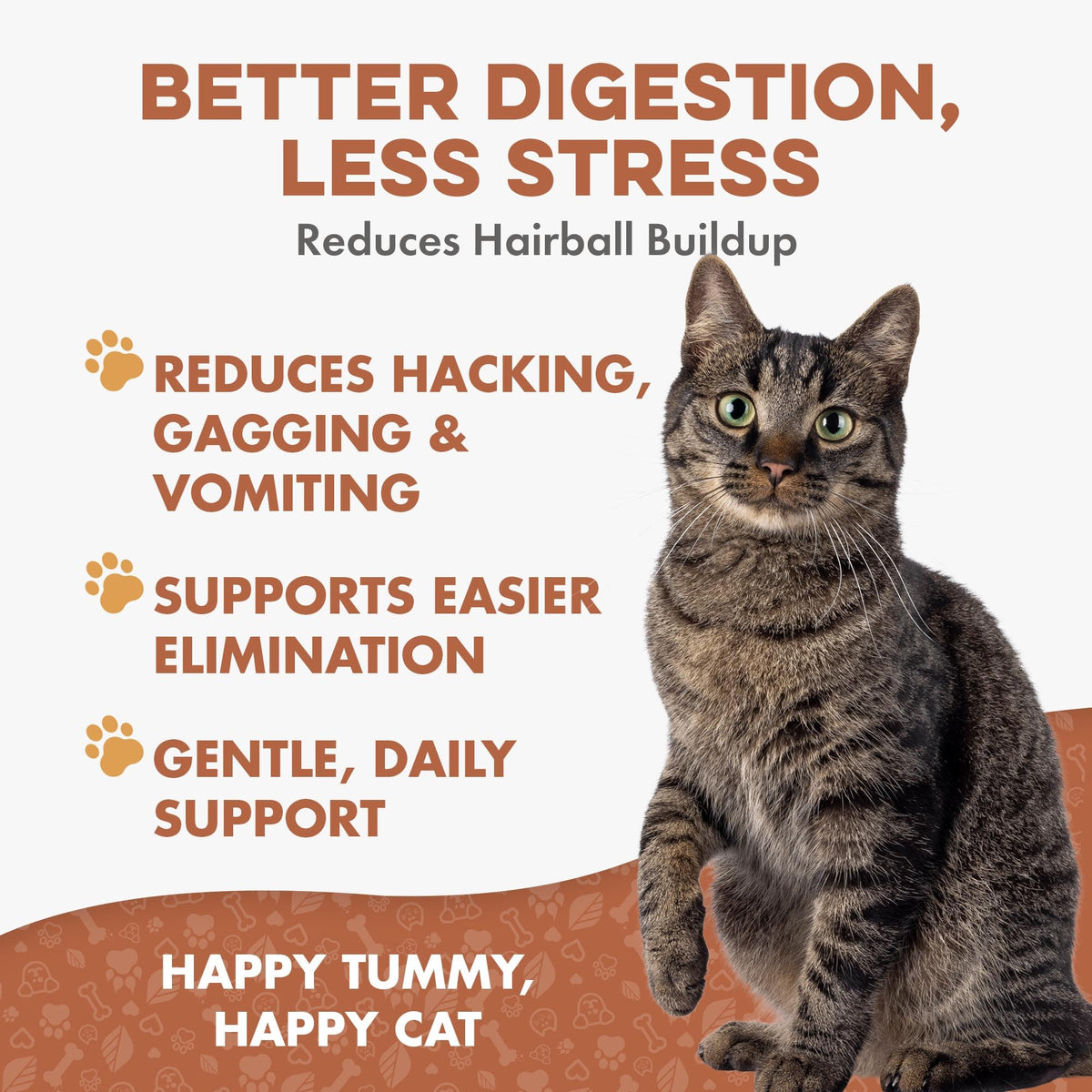 Hairball Treatment for Cats Z552023