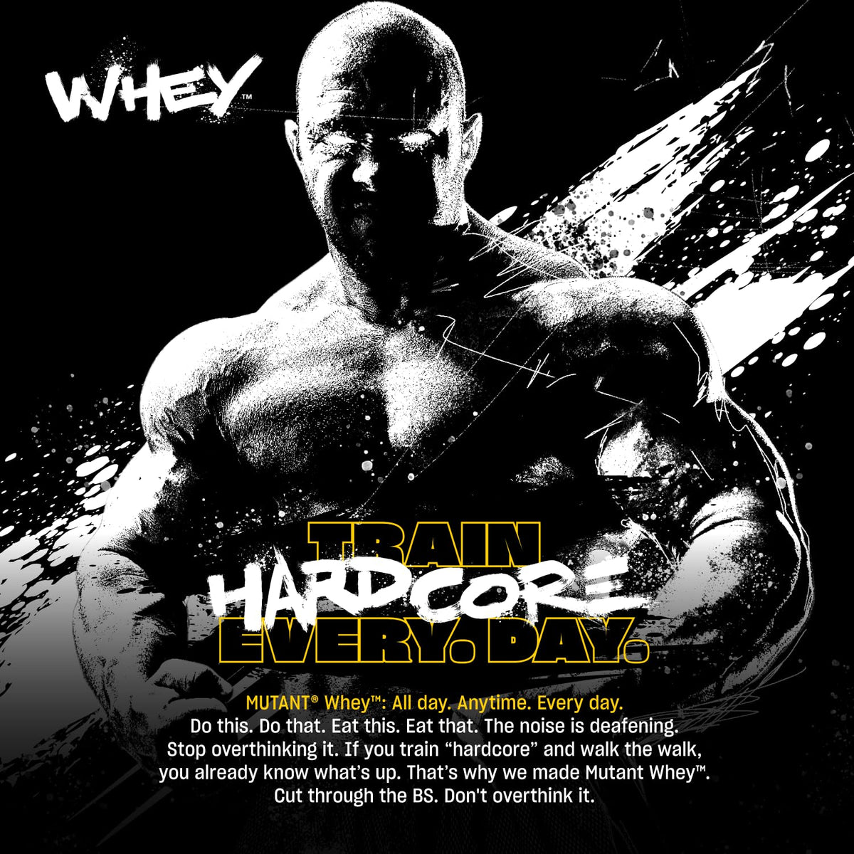 Whey Protein Powder Triple Chocolate 5 lb E885297