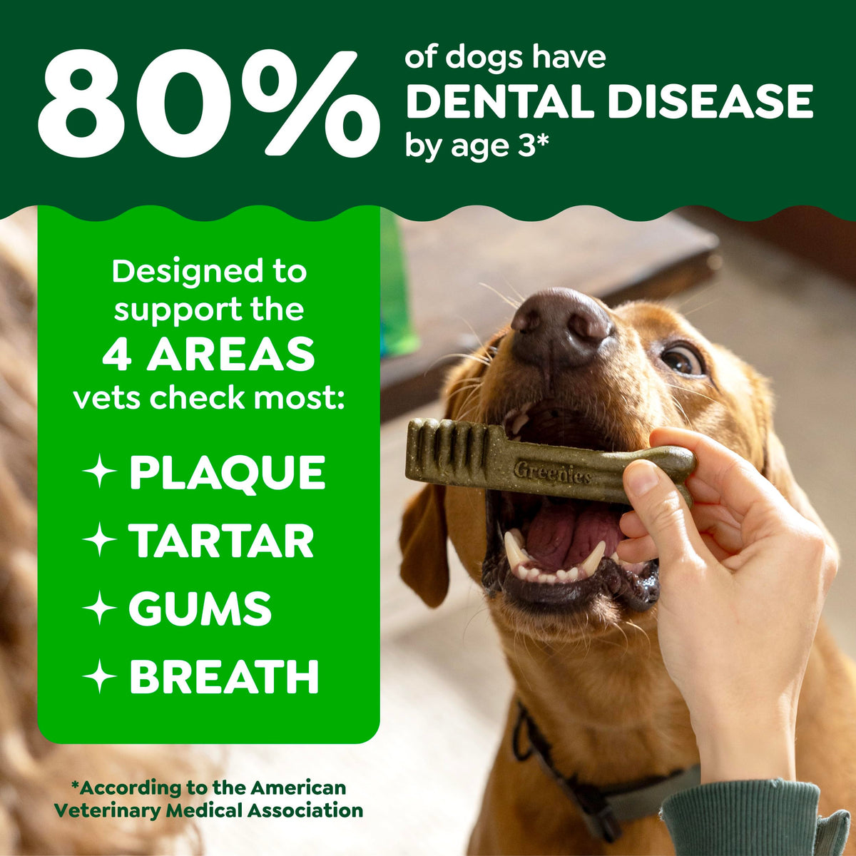Large Natural Dental Dog Treats Sweet Potato Flavor 8 Count D9207