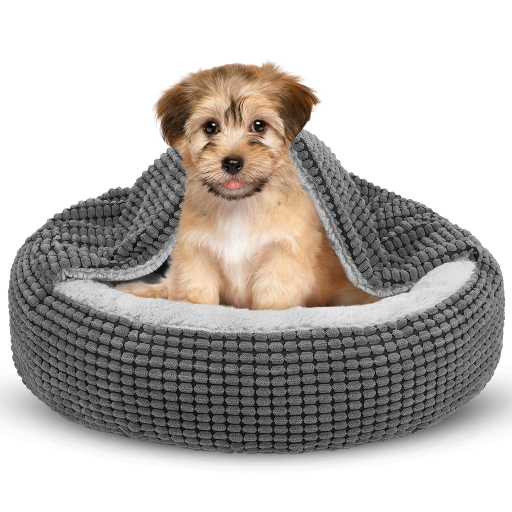 Small Dog Bed with Attached Blanket, 23inch S834613