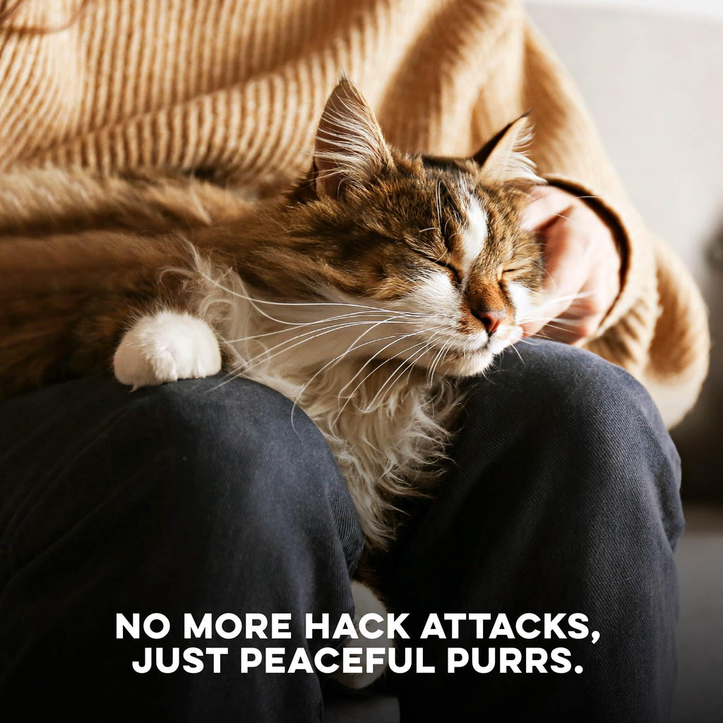 Hairball Treatment for Cats Z552023