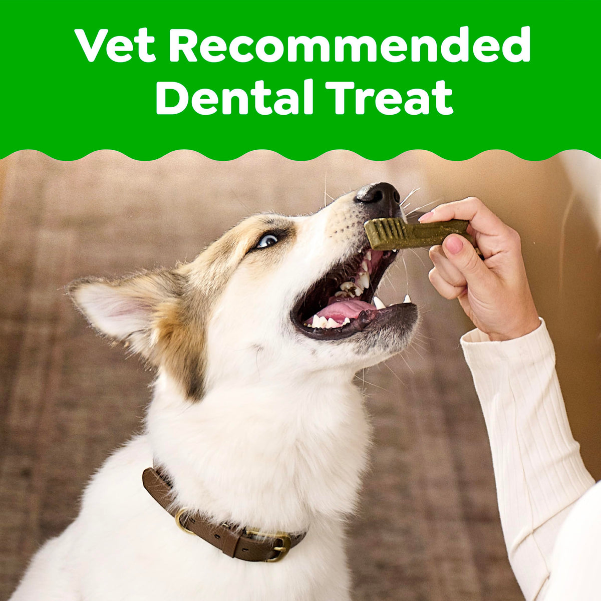 Large Natural Dental Dog Treats Sweet Potato Flavor 8 Count D9207