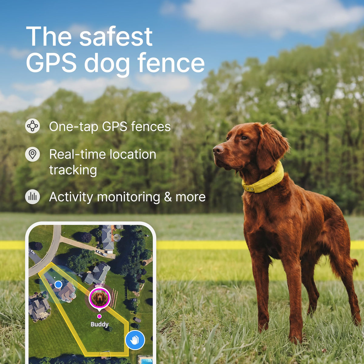 Wireless Dog Fence S68234
