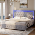 Full Velvet Upholstered Bed Frame with LED Lights Headboard J6155