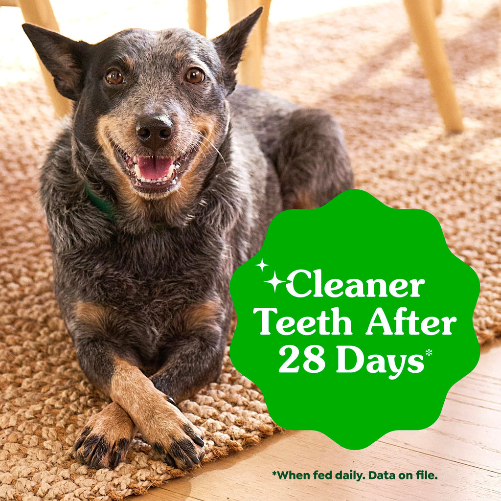 Large Natural Dental Dog Treats Sweet Potato Flavor 8 Count D9207